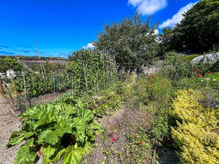 Veggie Plot