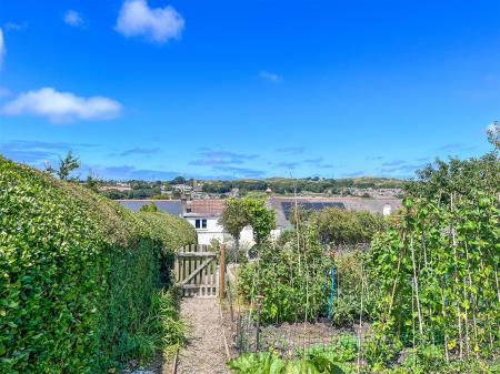 Outlook from Veggie PLot