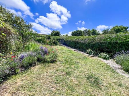 Upper area of garden