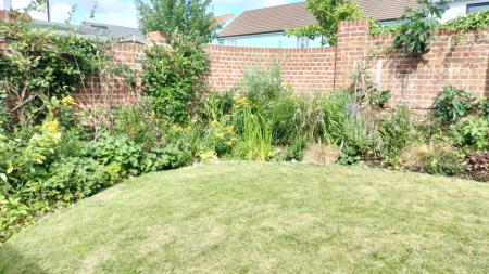 IMG20250707094510.jpg