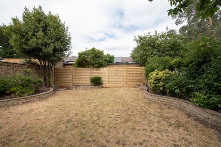 Media image 21