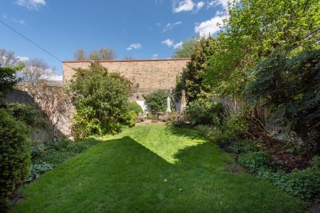 Media image 23