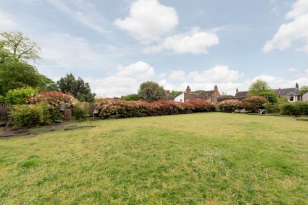 Media image 16