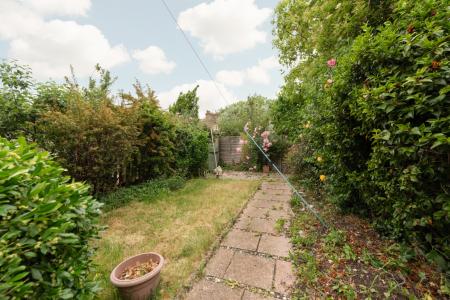 Media image 17