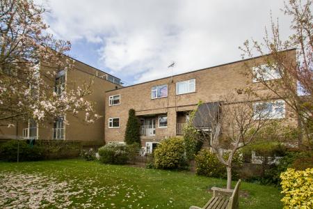 Rear Elevation