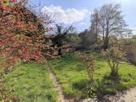 Photo 08