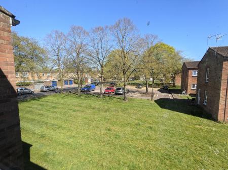 Photo 02