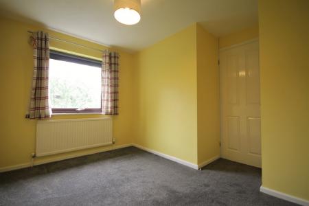 Photo 07