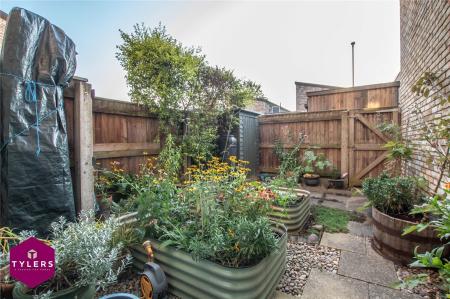 Courtyard Garden