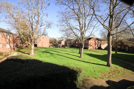 Living Room View