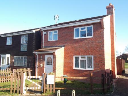 Photo 01