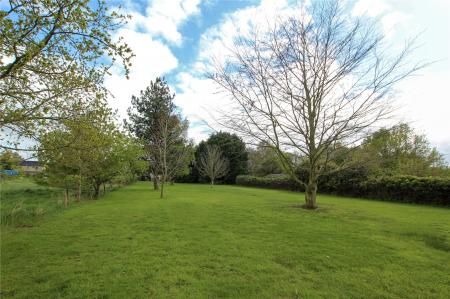 Rear Garden.