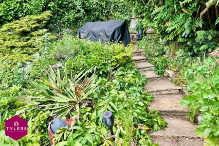 Far Rear Garden