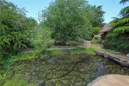 Rear Garden.