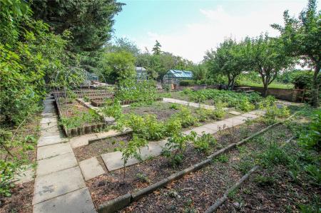 Rear Garden.
