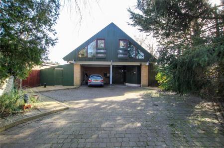 Front Aspect.