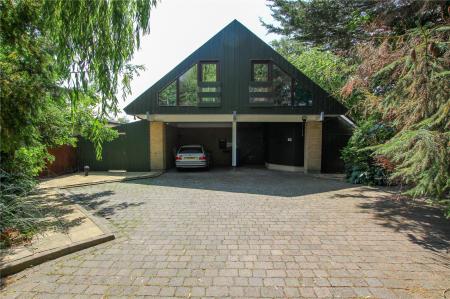 Front Aspect.