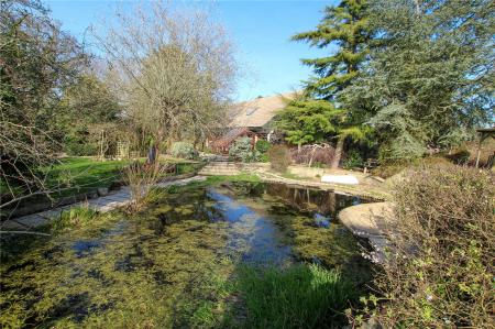 Rear Garden.