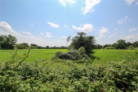 Fields/View Beyond.