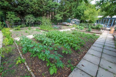 Rear Garden.