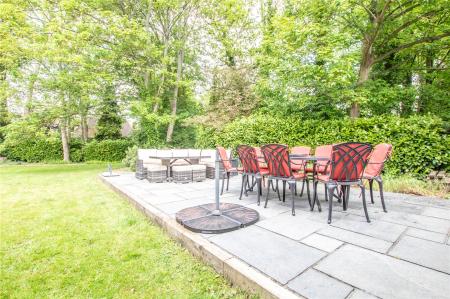 Patio Area