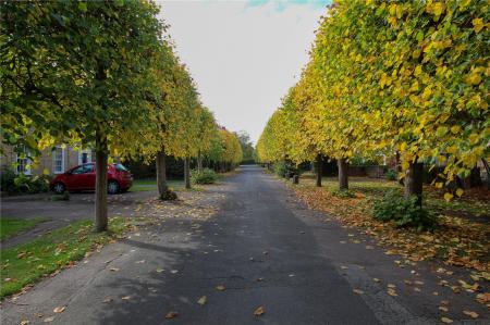 Street Scene.
