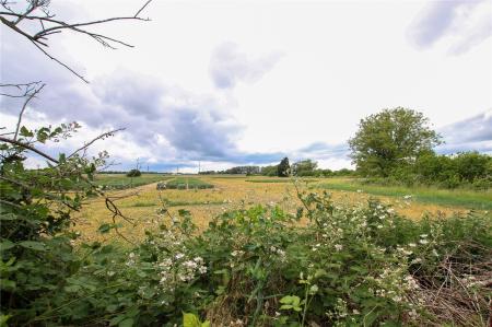 Field Beyond.