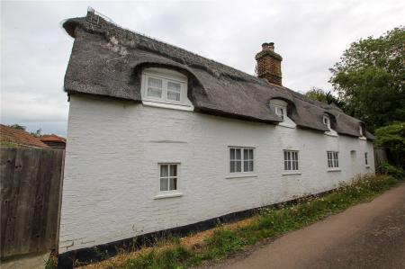 Front Aspect.