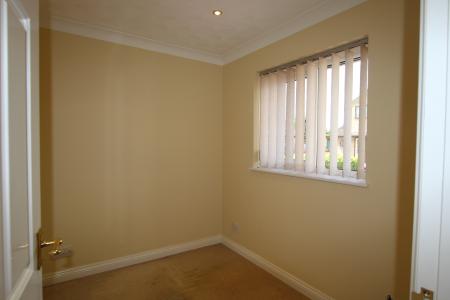 Photo 07
