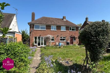 Rear Aspect.