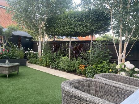 Garden In Summertime