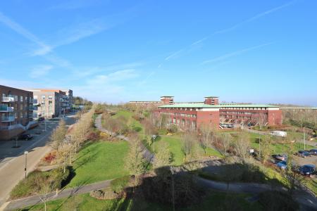 Rooftop View