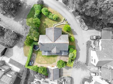 Birdseye