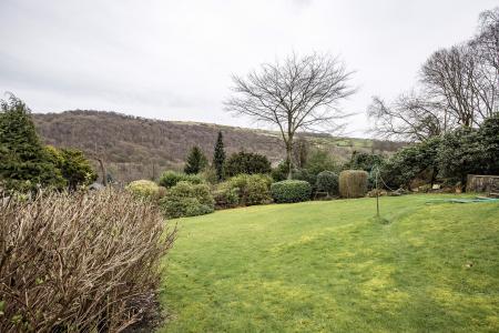 Garden and View