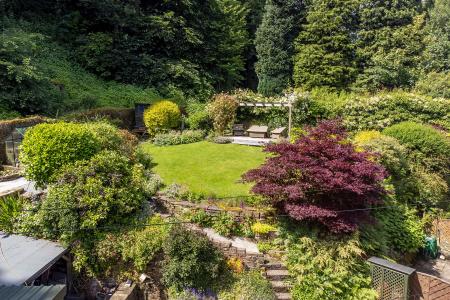 Elevated View of Garden