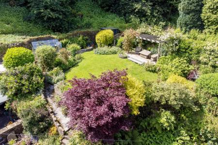 Elevated View of Garden