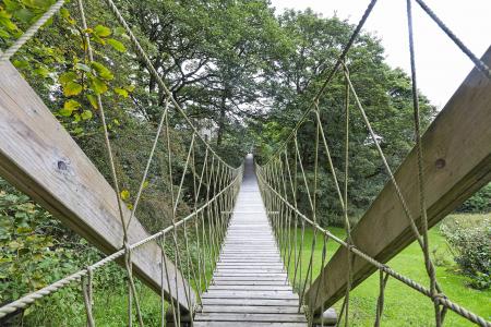 Rope Bridge