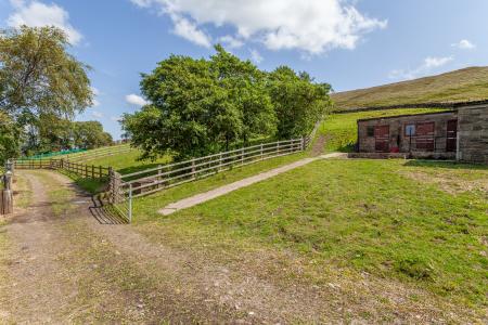 Stables & Paddocks