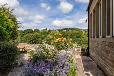 Kitchen Garden