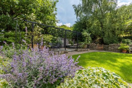 Decking Area