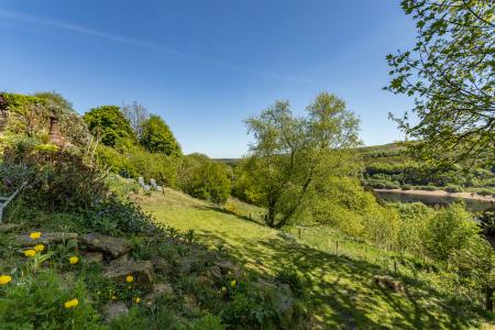 Garden & View
