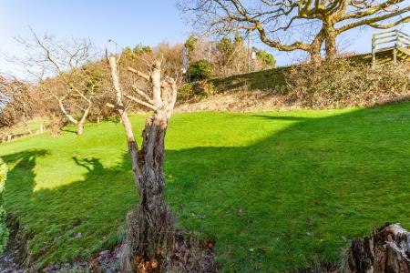 Lawned Garden