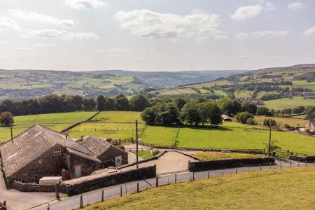 Hillside Views