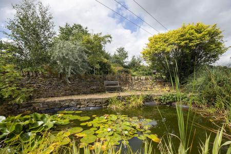 Pond