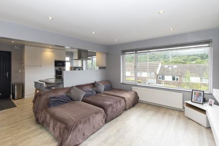 Living Room / Kitchen