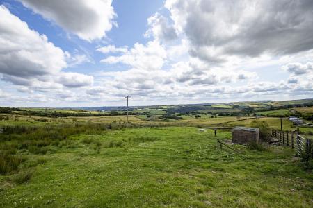 Land & View