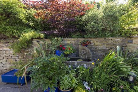 Garden Detail