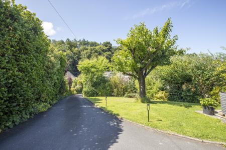 Lower Garden & Drive