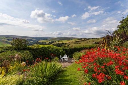 Garden & View