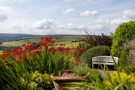 Garden & View